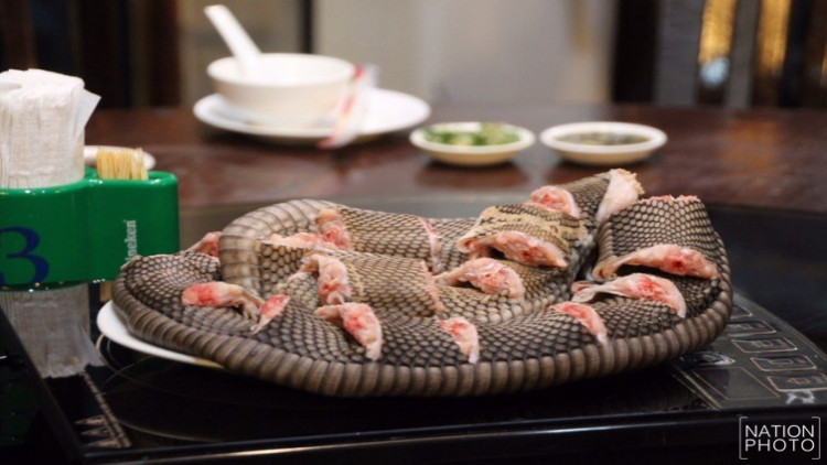 จับร้านเปิบพิสดารกลางกรุง ผงะ! พบงูเห่าสดหั่นพร้อมเสิร์ฟ จับร้านเปิบพิสดารกลางกรุง ผงะ! พบงูเห่าสดหั่นพร้อมเสิร์ฟ