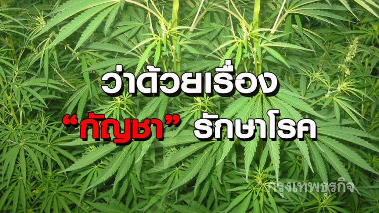 ว่าด้วยเรื่อง 'กัญชา' รักษาโรค ว่าด้วยเรื่อง 'กัญชา' รักษาโรค