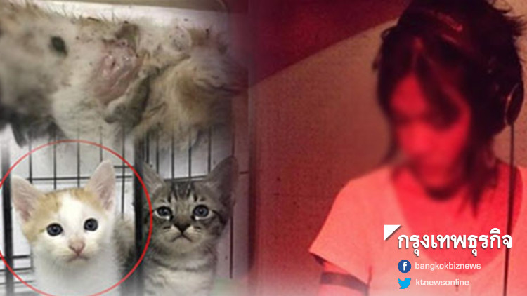 ยังไม่แจ้งข้อหา 'ดีเจ.สาว' เร่งหาหลักฐาน ย้ำแมวตายอวัยวะฯถูกนำออก ยังไม่แจ้งข้อหา 'ดีเจ.สาว' เร่งหาหลักฐาน ย้ำแมวตายอวัยวะฯถูกนำออก