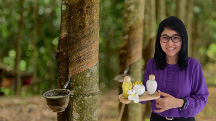เม็ดบีดส์ วิจัยเพิ่มมูลค่าน้ำยาง เม็ดบีดส์ วิจัยเพิ่มมูลค่าน้ำยาง
