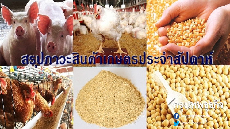 สรุปภาวะสินค้าเกษตรประจำสัปดาห์วันที่ 29 ตุลาคม – 2 ...