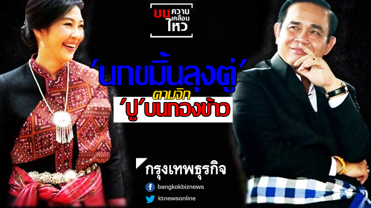 'นกขมิ้นลุงตู่' ตามจิก 'ปู' บนกองข้าว 'นกขมิ้นลุงตู่' ตามจิก 'ปู' บนกองข้าว
