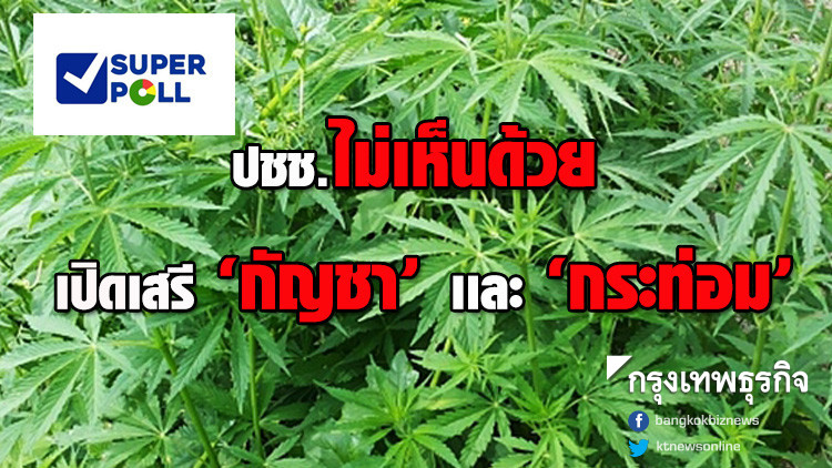 โพลล์ชี้ปชช.ไม่เห็นด้วย เปิดเสรีกัญชาเเละกระท่อม โพลล์ชี้ปชช.ไม่เห็นด้วย เปิดเสรีกัญชาเเละกระท่อม
