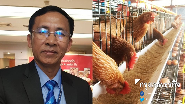 'ซีพี' หนุนมาตรการภาครัฐ สร้างเสถียรภาพราคาไข่ไก่เต็มที่ 'ซีพี' หนุนมาตรการภาครัฐ สร้างเสถียรภาพราคาไข่ไก่เต็มที่